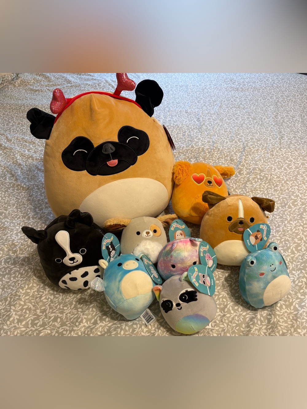 Squishmallows NWT Bundle- varying sizes and some retired (Prince the Pug & more)